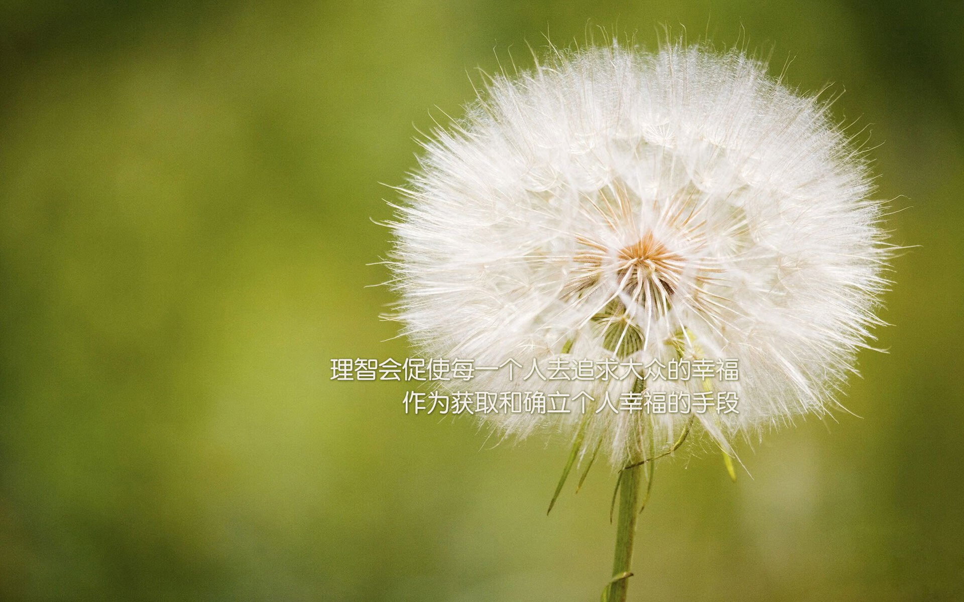 外交球场上的生死战，卡塔尔窒息时刻与迪马利亚的绝杀启示录