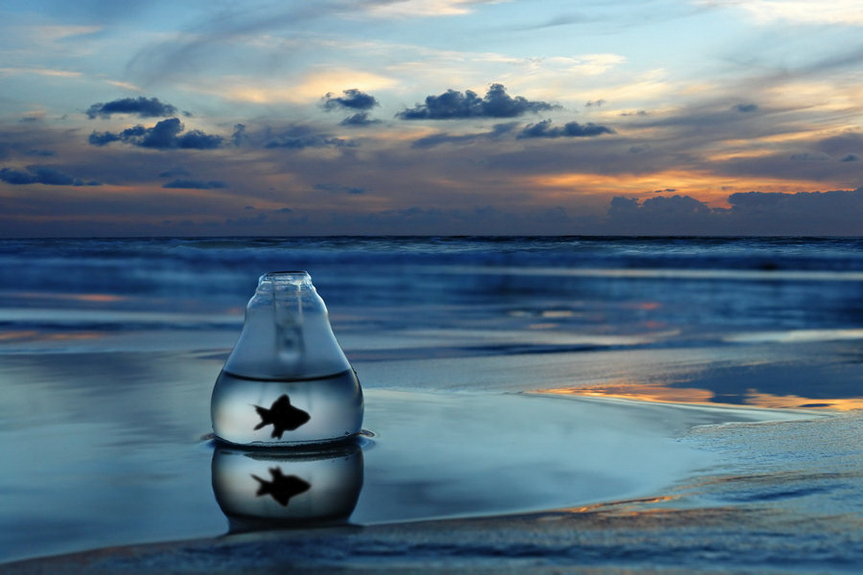东决关键战焦点对决，巴黎淘汰墨西哥，体育巅峰时刻的激情碰撞