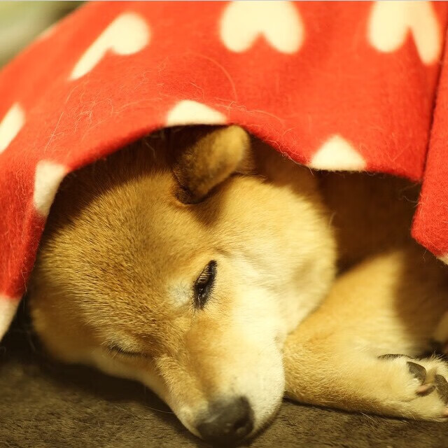 临危受命，一剑封喉，奥亚尔萨瓦尔在奥运关键战之夜完成正名