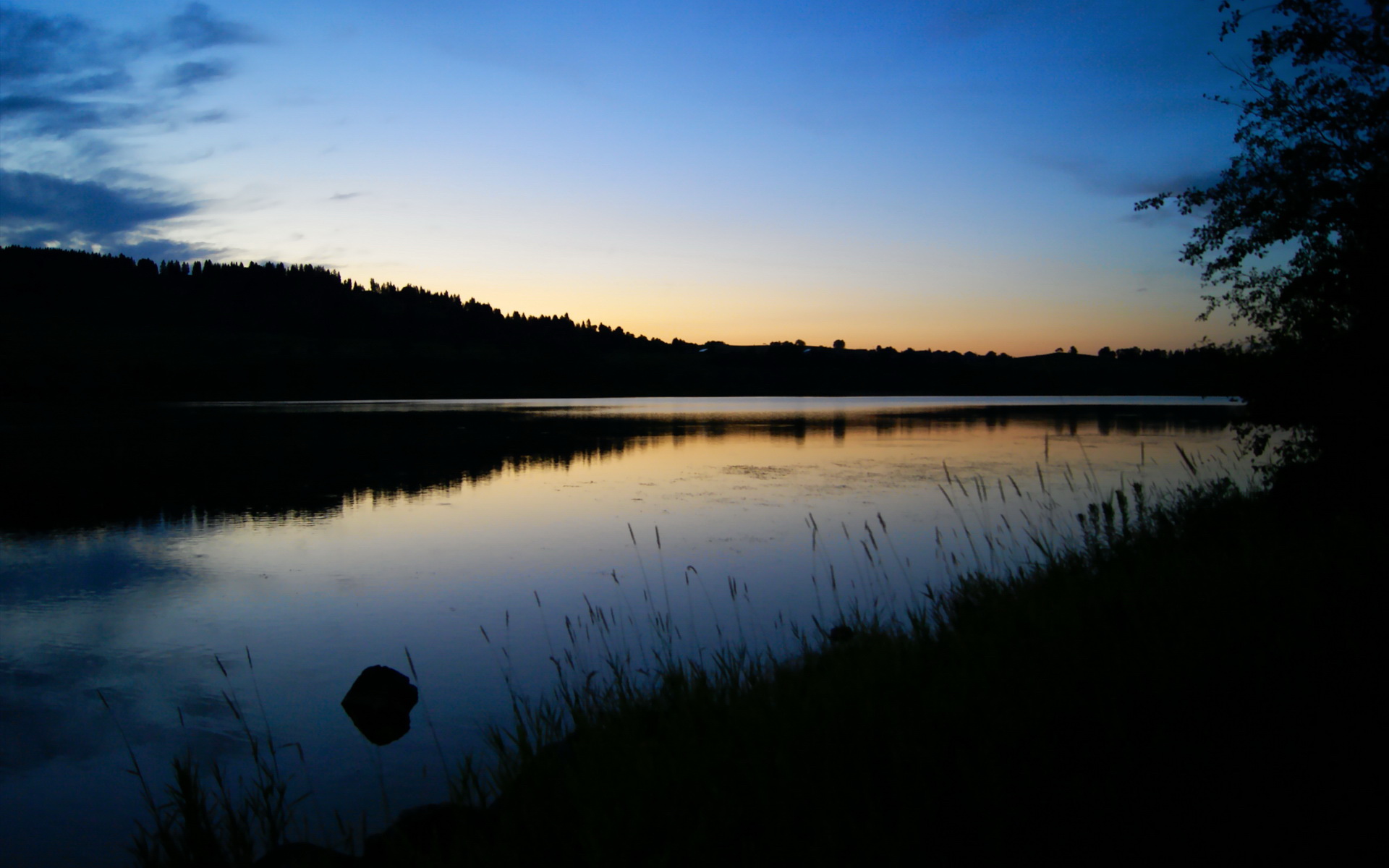 风暴与锁链,三笘薰的极限突破与厄瓜多尔的战术铁幕