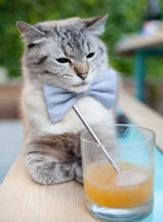 开云体育官网-激情夜，统治力！F1揭幕战与努涅斯的攻防交响曲