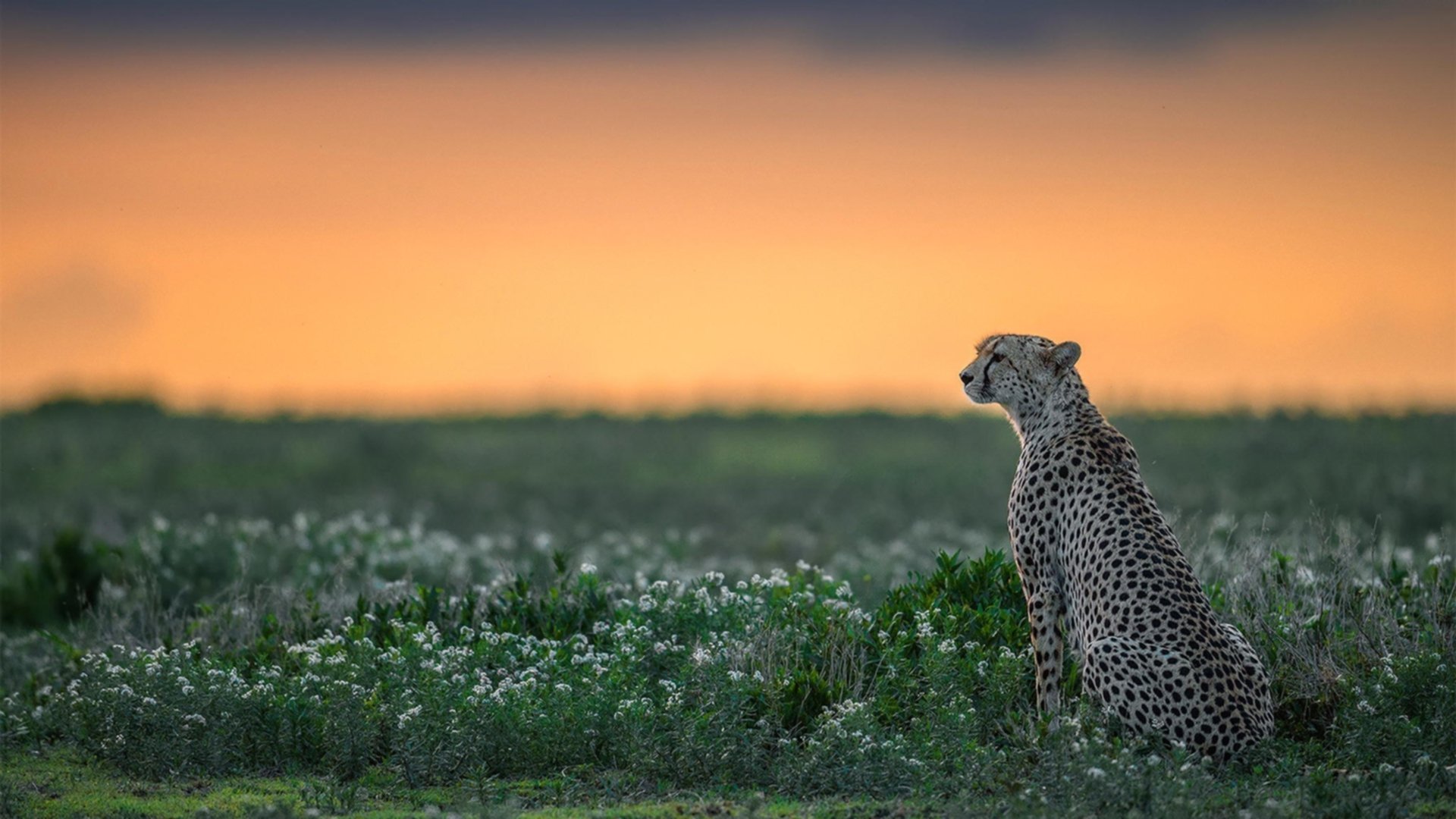 开云体育app-火箭青春风暴掀翻湖人，39岁詹姆斯砍三双成最悲壮背景板