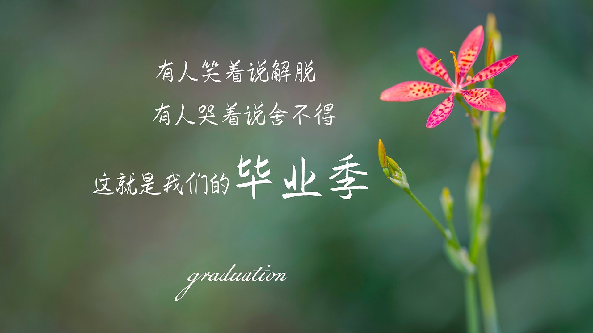 淬火成金！亚平宁的寒夜里，拉梅洛刺穿了最坚硬的沉默