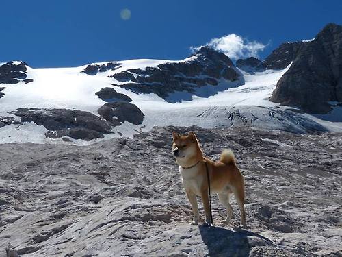 越洋电话定乾坤!深圳队绝境逢生,恩比德深夜支招成逆转密钥