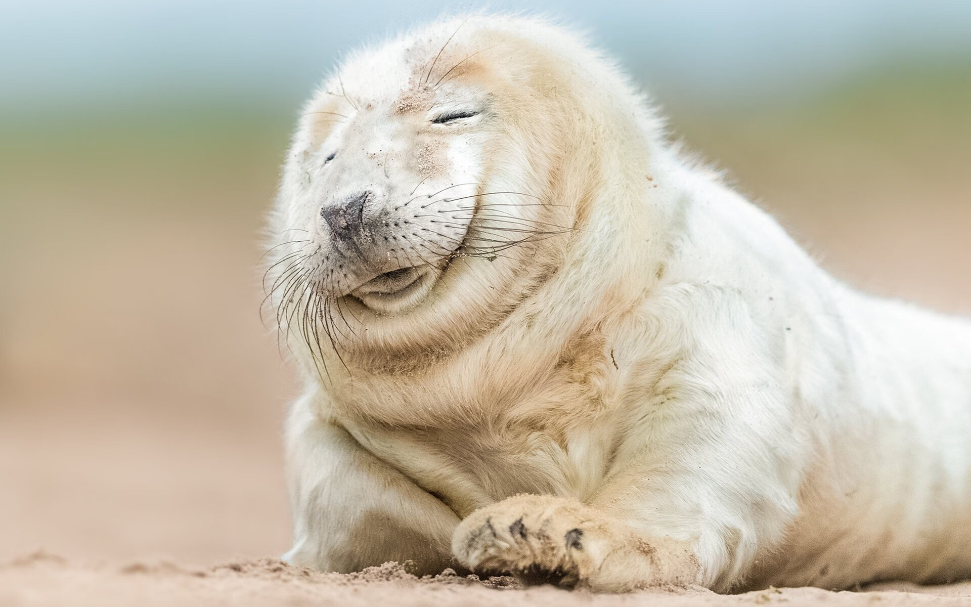 引擎与绿茵的共振,孔德在F1揭幕战之夜的巨星启示