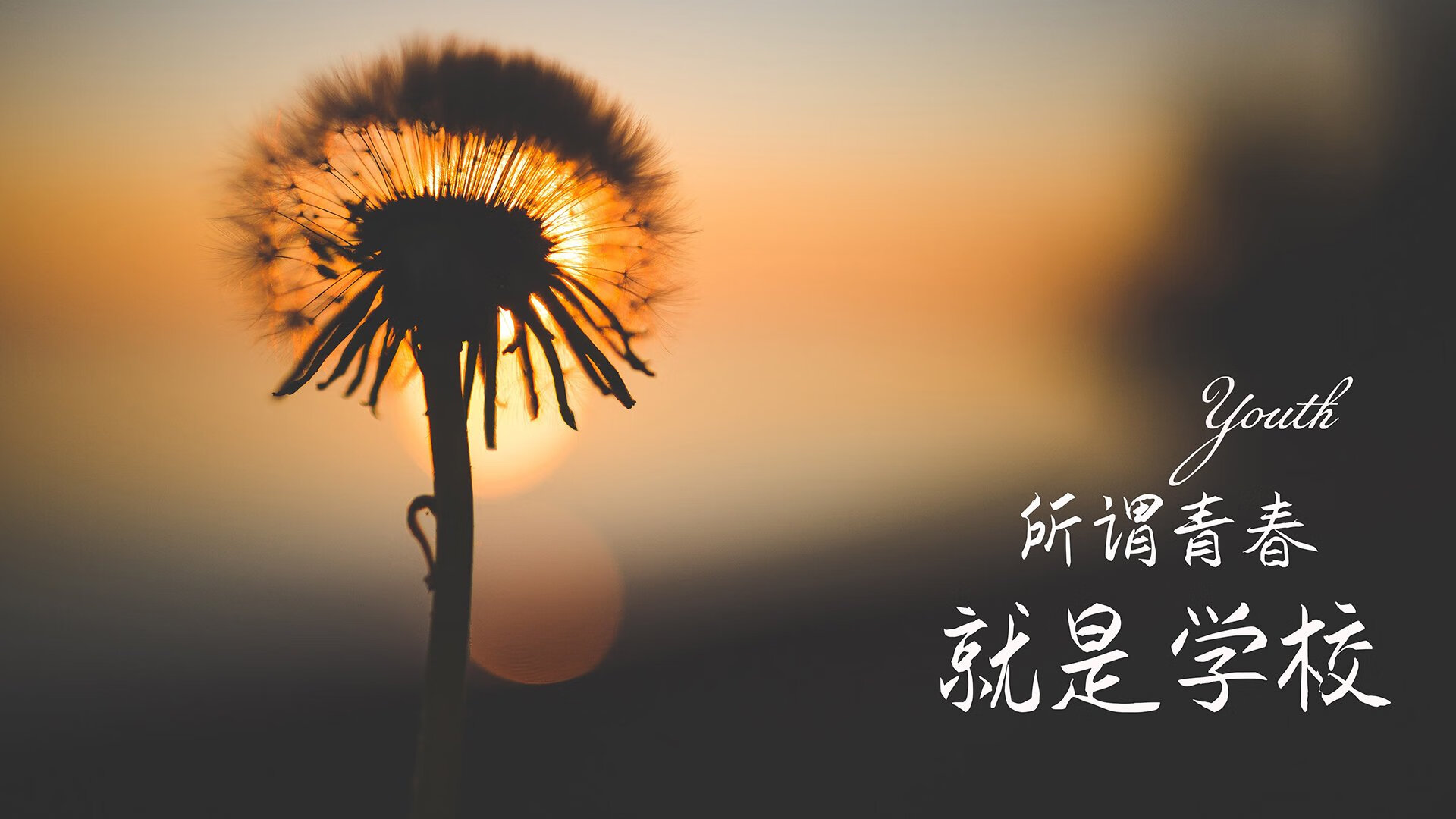 虚拟界限的破壁者,2026世界杯焦点周的篮球奇观