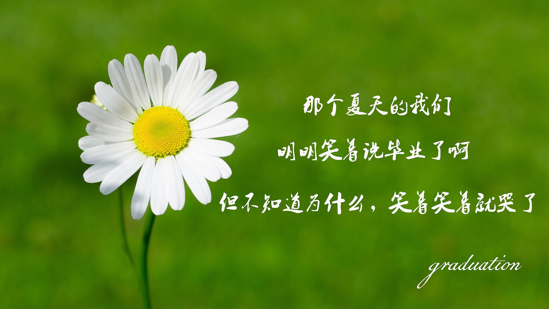 赛道弧线与三分弧线,当班凯罗在决胜弯道接管比赛
