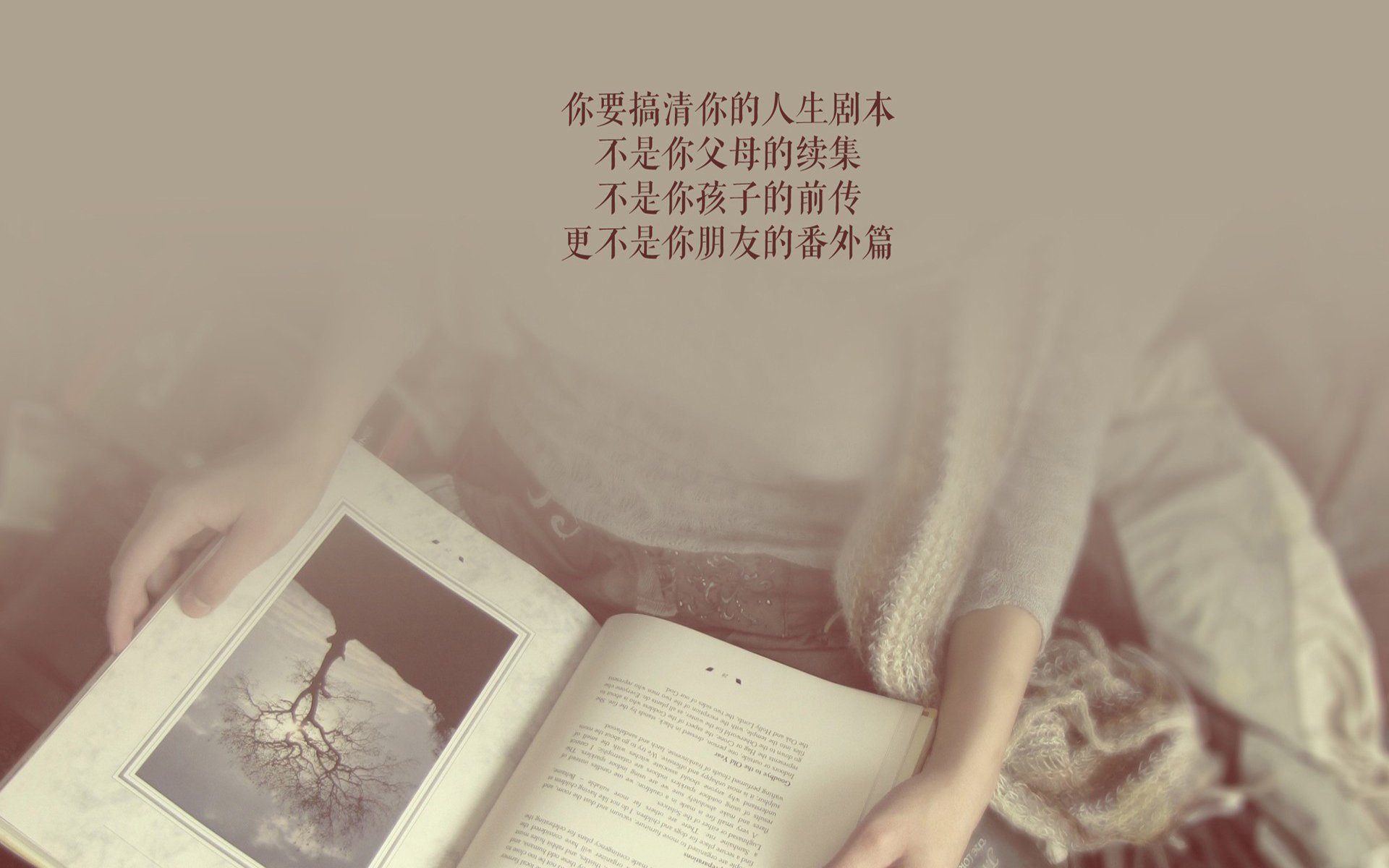 高原之子的闪电战，圣托纳利率厄瓜多尔以唯一之名，在2026决赛风暴中横扫墨西哥