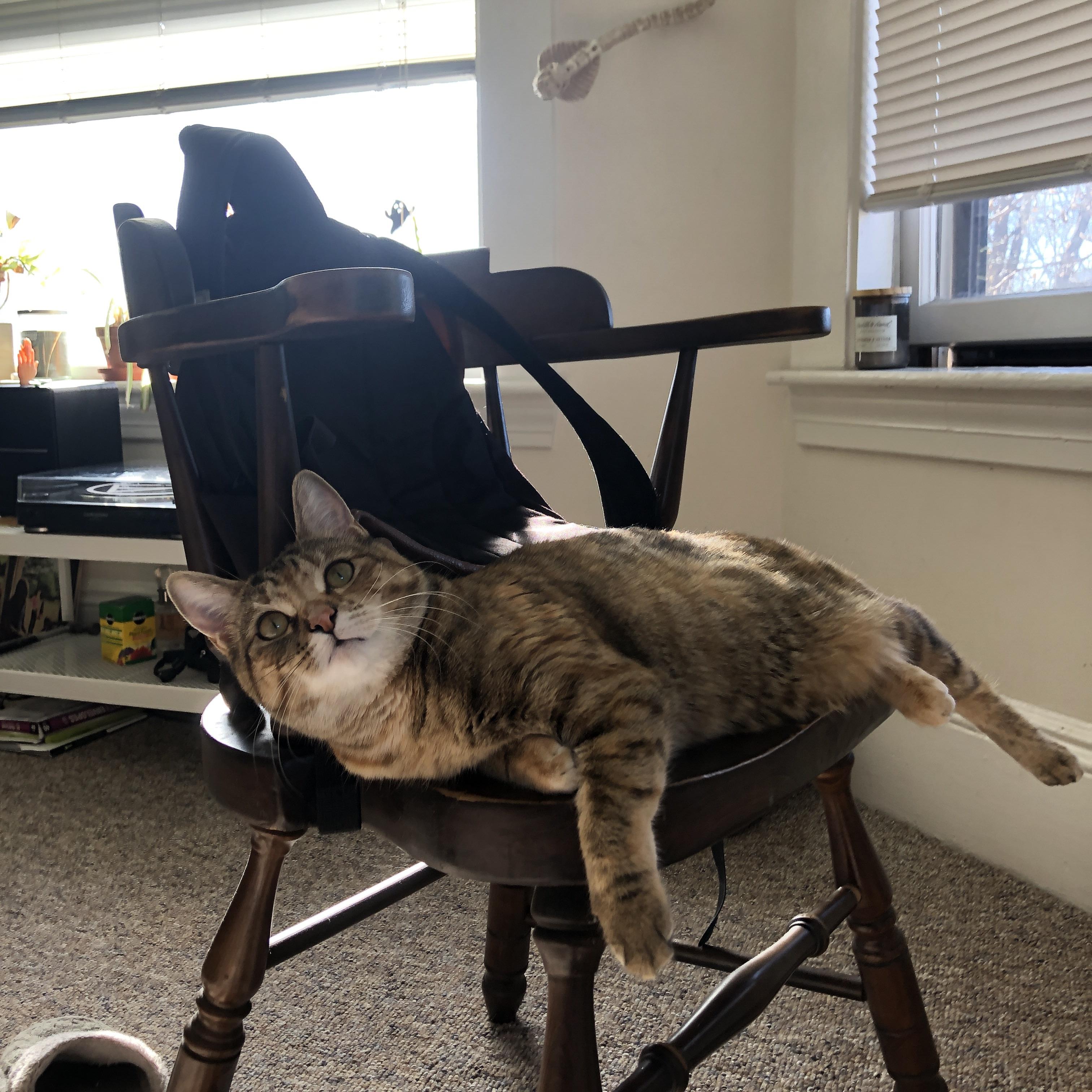 宿命的回响,2026世界杯,当归乡者萨卡击碎潘帕斯雄鹰的永恒之梦